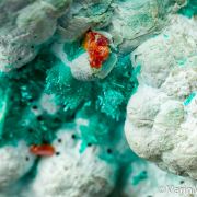 Dioptase with Wulfenite