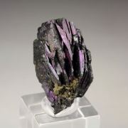 iridescent POLYBASITE