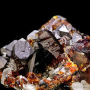 Sphalerite with Galena and Quartz