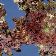 Copper with Cuprite