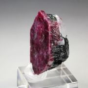 CORUNDUM var. RUBY, MUSCOVITE