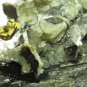 Wolframite with Arsenopyrite, Pyrite, and Muscovite, on Quartz