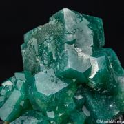 Celadonite in Apophyllite