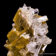 Siderite with Quartz