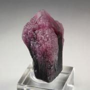 TOURMALINE var. RUBELLITE