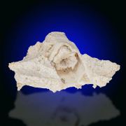 Dolomite Cast  & Cerussite