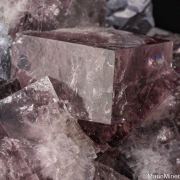 Fluorite with Galena