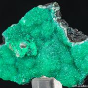 Dioptase on Chrysocolla