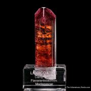 Fluor-liddicoatite Tourmaline