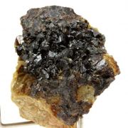 Sphalerite + Siderite.