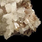 Creedite