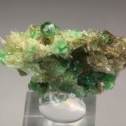 gem GARNET var. GROSSULAR with GREEN CHROMIAN PHANTOMS, DIOPSIDE