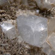 Fluellite