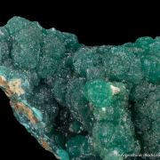 Cuprian Adamite