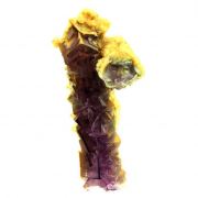 Fluorite Stalactite.