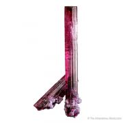 Rubellite Tourmaline