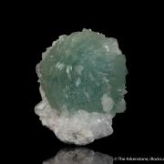 Prehnite on Quartz