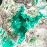 Dioptase with Wulfenite