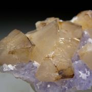 Scheelite on Fluorite