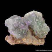 Fluorite (spinel twinned) on Muscovite