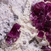 Beryl var. Red Beryl