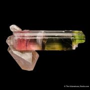 Tourmaline on Quartz (floater)