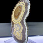 Baryte, marcasite