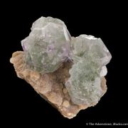 Fluorite (spinel twinned) on Muscovite