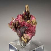 ERYTHRITE two habits