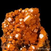 Mimetite