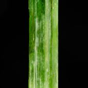 Tremolite