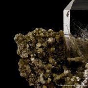 Quartz and Muscovite with Schorl