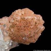 Stilbite on Fluorapophyllite