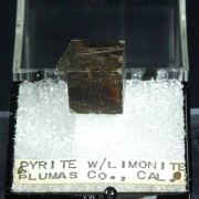 Pyrite coated with Limonite