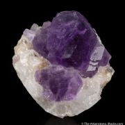 Fluorite on Calcite