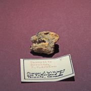 Carnotite