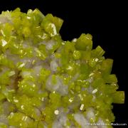 Pyromorphite (gem xls) on Quartz