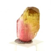 Liddicoatite Tourmaline.