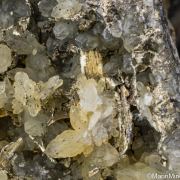 Calaverite with Quartz