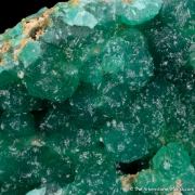 Cuprian Adamite