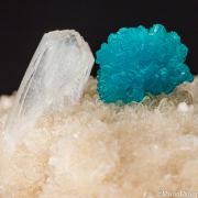 Cavansite on Stilbite