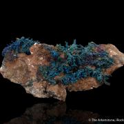 Djurleite and Chalcopyrite