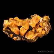 Wulfenite on Mottramite