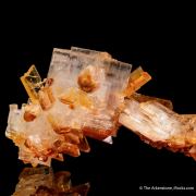 Halite and Gypsum