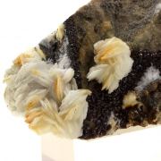 Baryte + Sphalerite.