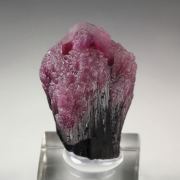 TOURMALINE var. RUBELLITE