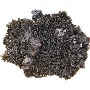 Goethite with “Onegite”