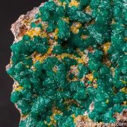 Dioptase with Wulfenite