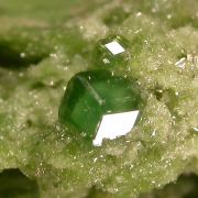 Grossular var. Chromian Grossular on Diopside