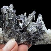 Ferberite, quartz, muscovite